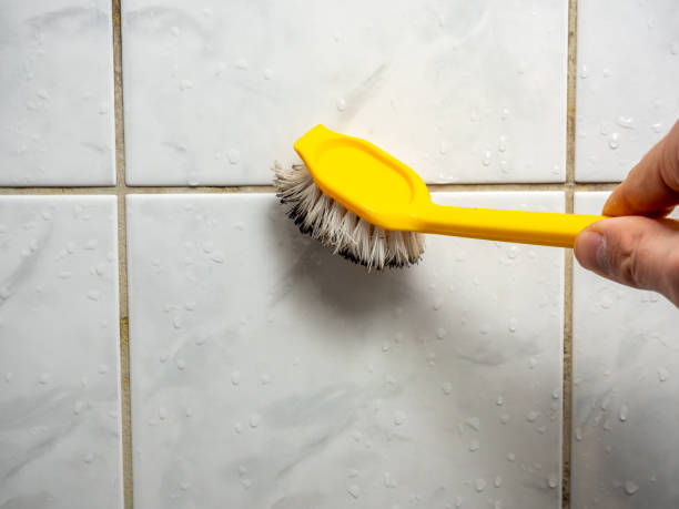 Best Mold Remediation for Schools in Savannah, TX