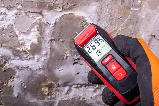 Best Preventive Mold Services in Savannah, TX
