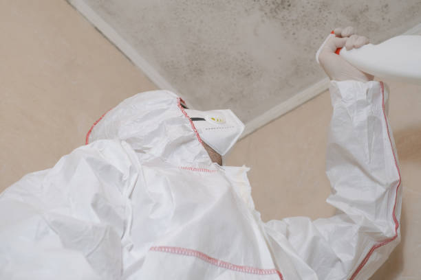 Best Residential Mold Remediation in Savannah, TX