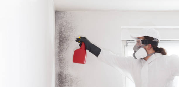 Best Bathroom Mold Remediation in Savannah, TX