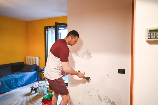 Trusted Savannah, TX Mold Remediation Experts